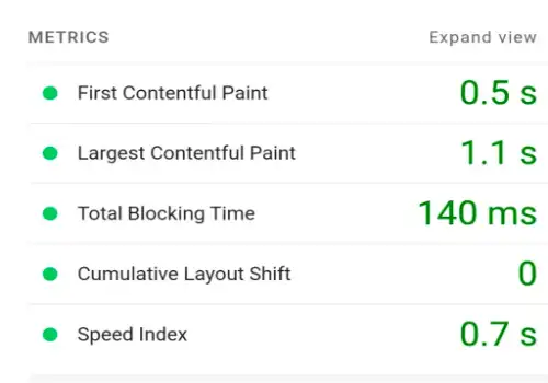 Search Engine Optimization SEO Score