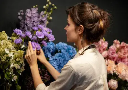 Professional Web Design Services Small Business Websites North Carolina